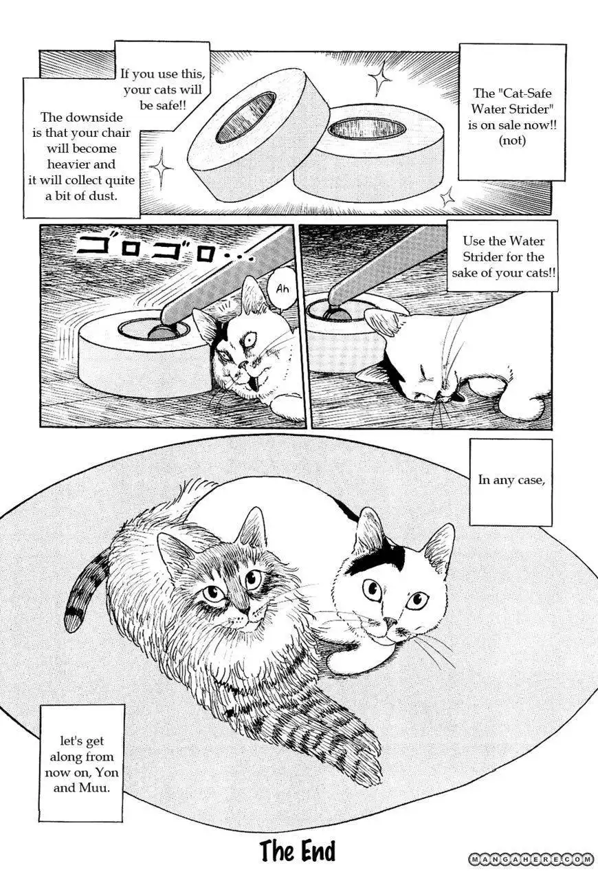 Ito Junji's Cat Diary Chapter 10 10